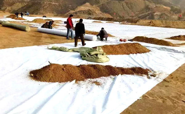 復合土工膜鋪設(shè)